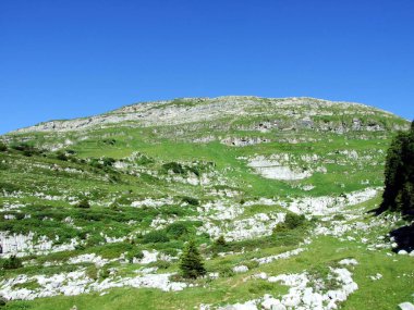 Alviergruppe Sıradağları 'nda alp Zirvesi Gamserrugg-St. Gallen Kantonu, Isviçre