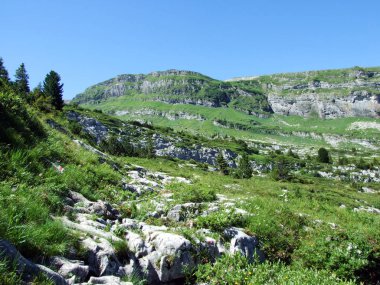 Alpine Peak Chaserrugg veya Chaeserrugg, Alviergruppe Sıradağları içinde-St. Gallen Kantonu, Isviçre