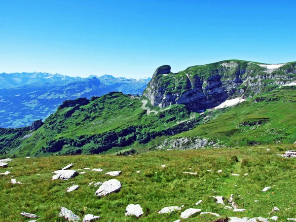 Alpine Peak Tristencholben Alviergruppe Mountain Range Cantão Gallen Suíça — Fotografia de Stock