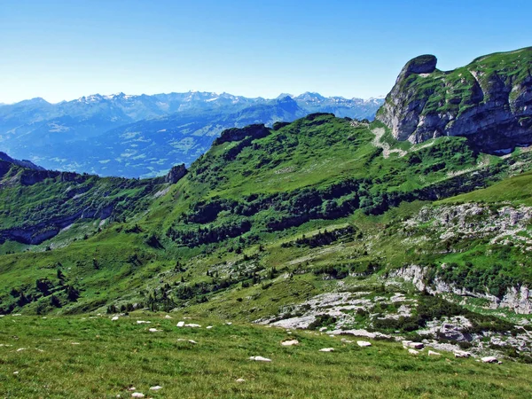 Пик Тристенхольбен Горном Массиве Альвиль Кантон Санкт Галлен Швейцария — стоковое фото
