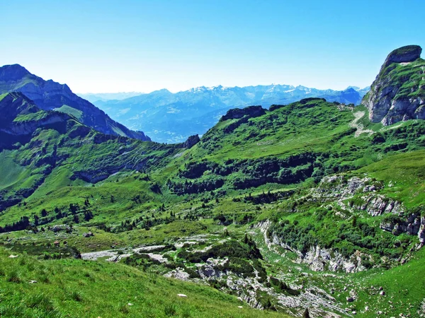 Alviergruppe Sıradağları Ndaki Alpine Peak Tristencholben Gallen Kantonu Isviçre — Stok fotoğraf