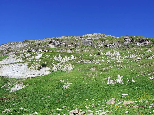 Cima Alpina Gamserrugg Nella Catena Montuosa Dell Alviergruppe Cantone San — Foto Stock