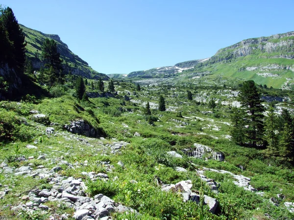 Alpine Peak Chaserrugg veya Chaeserrugg, Alviergruppe Sıradağları içinde-St. Gallen Kantonu, Isviçre