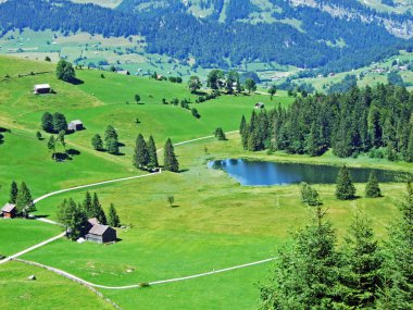 Küçük Schwendisee Gölü (Hinter Schwendisee), Wildhaus-St. Gallen Kantonu, Isviçre