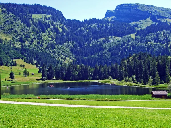 Lago Principal Schwendisee Vorder Schwendisee Wildhaus Cantón Gallen Suiza —  Fotos de Stock