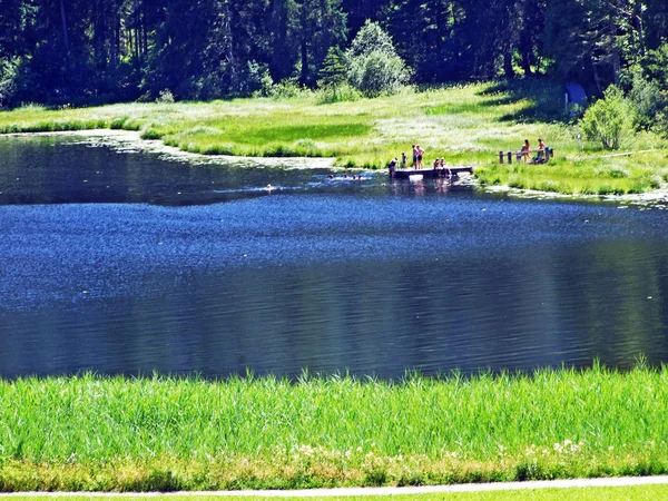 Main Lake Schwendisee Vorder Schwendisee Wildhaus Canton Gallen Switzerland — Stock Photo, Image