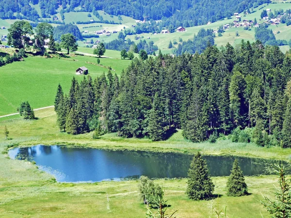 Lago Más Pequeño Schwendisee Hinter Schwendisee Wildhaus Cantón Gallen Suiza — Foto de Stock