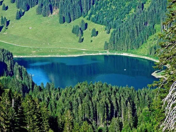 Lago Alpino Voralpsee Cordilheira Alviergruppe Acima Assentamento Grabs Vale Reno — Fotografia de Stock