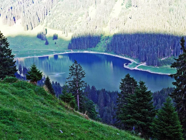 Lago Alpino Voralpsee Cordilheira Alviergruppe Acima Assentamento Grabs Vale Reno — Fotografia de Stock