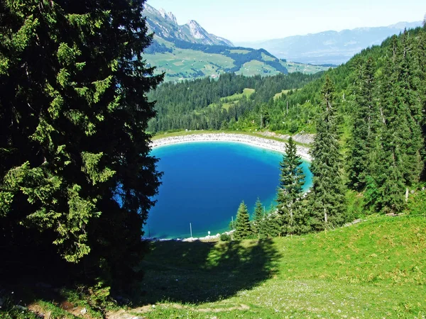 Lago Speichersee Der Speichersee Gebiet Warmtobel Speichersee Fur Die Schneeanlage — Fotografia de Stock