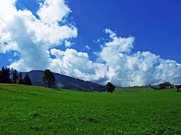 高山山地块阿尔普斯坦和图尔河谷上方美丽的云朵 瑞士圣加仑州 — 图库照片