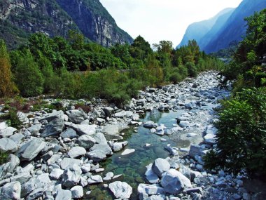 Maggia Nehri veya Fiume Maggia (Valle Maggia)-Ticino, Isviçre