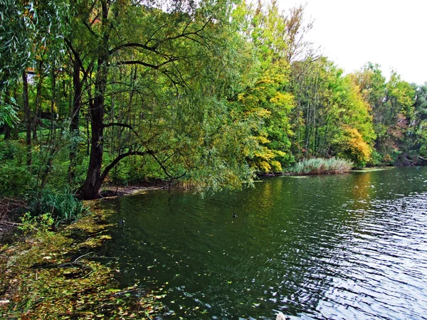 Rezerwat Przyrody Wichenstein Lub Naturschutzgebiet Wichenstein Lub Wichenstein Weiher Oberriet — Zdjęcie stockowe