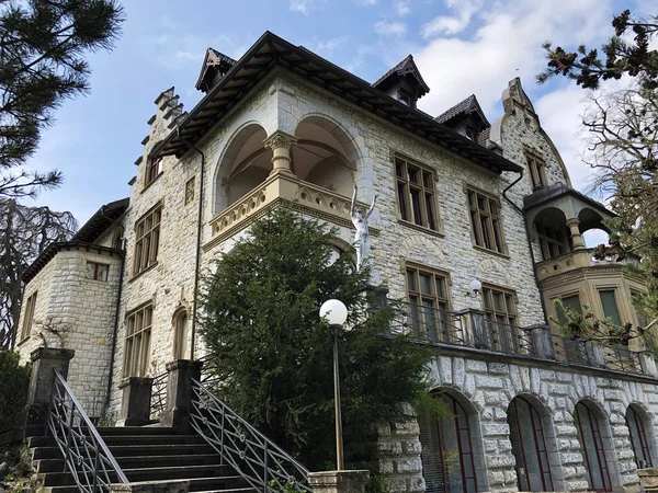 Neo Gothic Villa Boveri Baden Кантон Ааргау Швейцария — стоковое фото