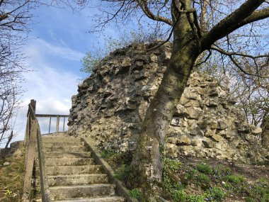 Stein Kalesi veya Schloss Stein veya Ruine Stein veya Schlossruine Stein harabeleri, Baden-Aargau, Isviçre