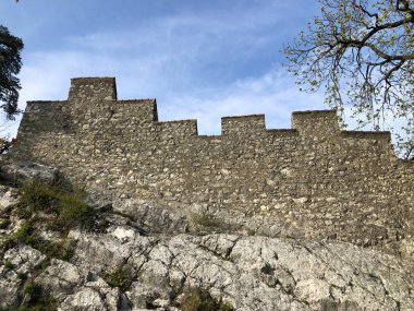 Stein Kalesi veya Schloss Stein veya Ruine Stein veya Schlossruine Stein harabeleri, Baden-Aargau, Isviçre