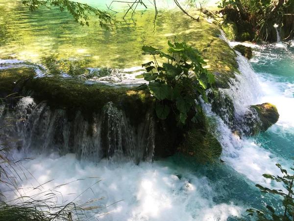 Plitvicei Tavak Nemzeti Park Flóra Fauna Vagy Nacionalni Park Plitvicka — Stock Fotó