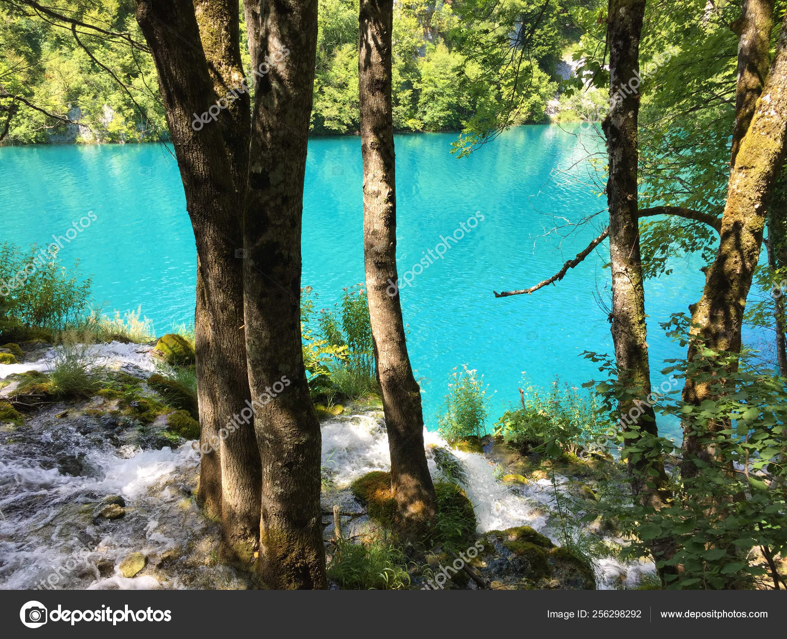 Landscape Plitvice Lakes National Park Nacionalni Park Plitvicka Jezera Unesco Stock Photo Image By C Mariokrpan 256298292