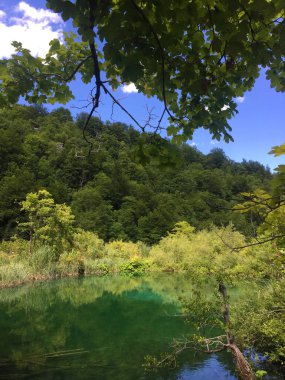 Plitvice Gölleri Milli Parkı veya Nacionalni Park Landscape, UNESCO doğal dünya mirası olan Plitvicka Jezera-Plitvica, Hırvatistan