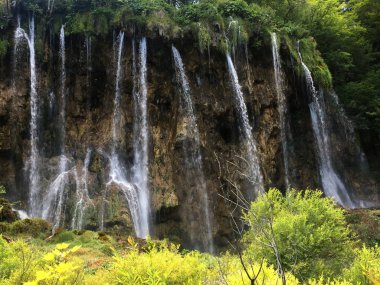 Plitvice Gölleri Milli Parkı veya Nacionalni Park Landscape, UNESCO doğal dünya mirası olan Plitvicka Jezera-Plitvica, Hırvatistan