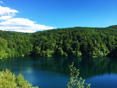 Plitvice Gölleri Milli Parkı veya Nacionalni Park Landscape, UNESCO doğal dünya mirası olan Plitvicka Jezera-Plitvica, Hırvatistan