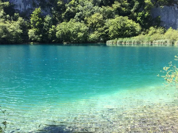 Paisagem Parque Nacional Dos Lagos Plitvice Parque Nacional Plitvicka Jezera — Fotografia de Stock