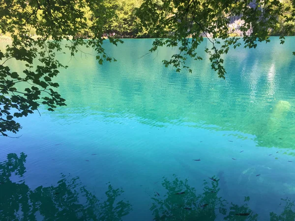 Plitvicei Tavak Nemzeti Park Tájképe Vagy Nacionalni Park Plitvicka Jezera — Stock Fotó