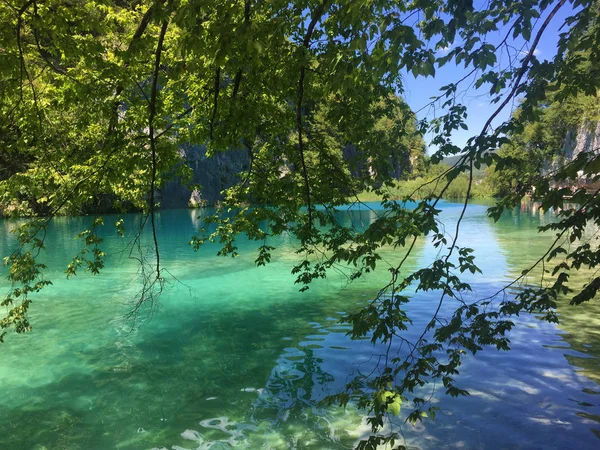 Landschaft Der Plitvicer Seen Nationalpark Oder Nacionalni Park Plitvicka Jezera — Stockfoto