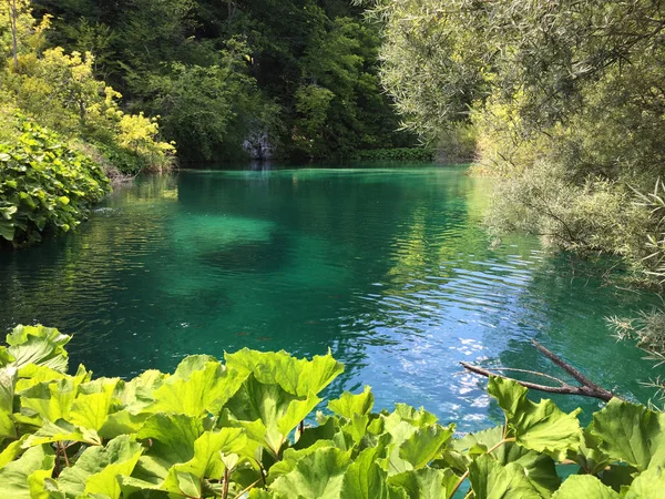 Plitvice Lakesin Kansallispuisto Tai Nacionalni Puisto Plitvicka Jezera Unesco Natural — kuvapankkivalokuva