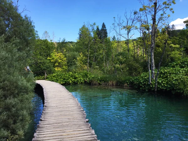 Paysage Parc National Des Lacs Plitvice Parc Nacionalni Plitvicka Jezera — Photo