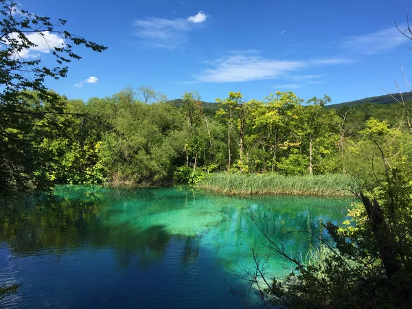 Krajina Národním Parku Plitvice Jezer Nebo Nacionalni Parku Plitvická Jezera — Stock fotografie