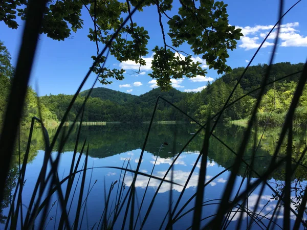 Krajina Národním Parku Plitvice Jezer Nebo Nacionalni Parku Plitvická Jezera — Stock fotografie