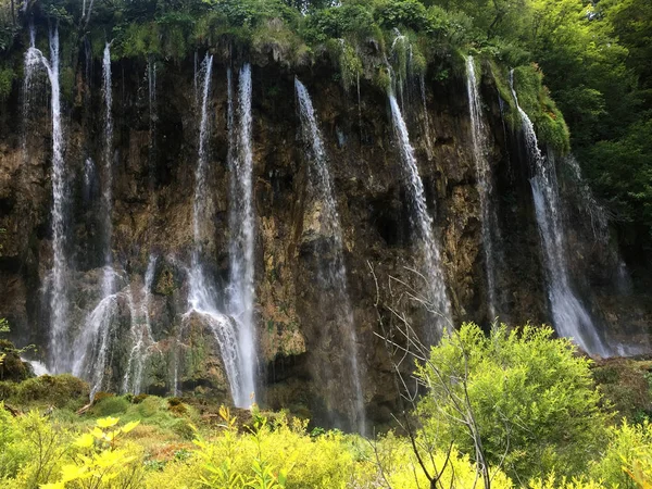 プリトヴィツェ湖群国立公園または Nacionalni 公園の風景 Plitvicka Jezera ユネスコ自然世界遺産 プリトヴィツァ クロアチア — ストック写真