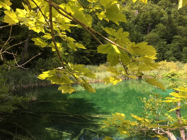 Plitvicei Tavak Nemzeti Park Tájképe Vagy Nacionalni Park Plitvicka Jezera — Stock Fotó