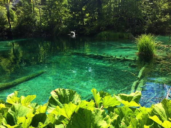 Paisagem Parque Nacional Dos Lagos Plitvice Parque Nacional Plitvicka Jezera — Fotografia de Stock