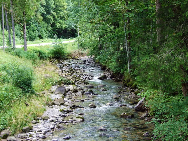 Gebirgsbäche Fusse Der Schwagalp Kanton Gallen Schweiz — Stockfoto