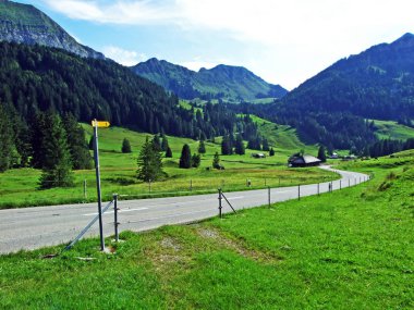 Alpstein Sıradağları yamaçlarında alp mera ve çayırlar-St. Gallen Kantonu, Isviçre