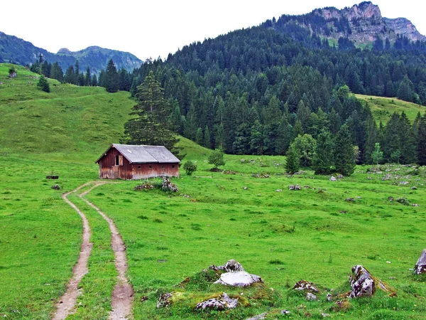 Alpstein 山脈の斜面の農村伝統的な建築と家畜農場 サンクト ガーレン スイス — ストック写真