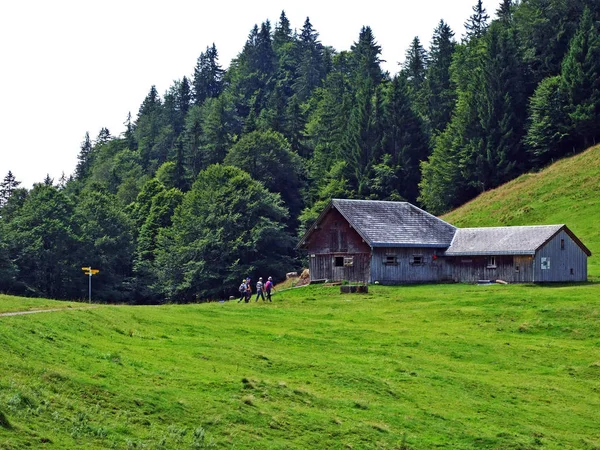 Rural Traditional Architecture Livestock Farms Slopes Alpstein Mountain Range Canton — Stock Photo, Image