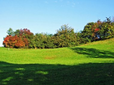 Park ve Abenteur peyzaj Walter Hayvanat Bahçesi Bahçesi-Gossau, St. Gallen Kantonu