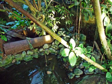 Park ve Abenteur peyzaj Walter Hayvanat Bahçesi Bahçesi-Gossau, St. Gallen Kantonu