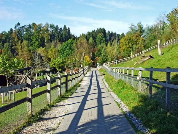 Park Und Landschaft Des Abenteur Walter Zoo Garten Gossau Kanton — Stockfoto