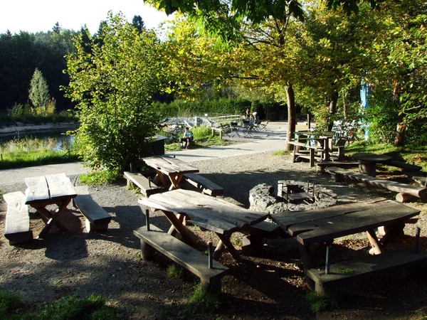 Park Abenteur Peyzaj Walter Hayvanat Bahçesi Bahçesi Gossau Gallen Kantonu — Stok fotoğraf