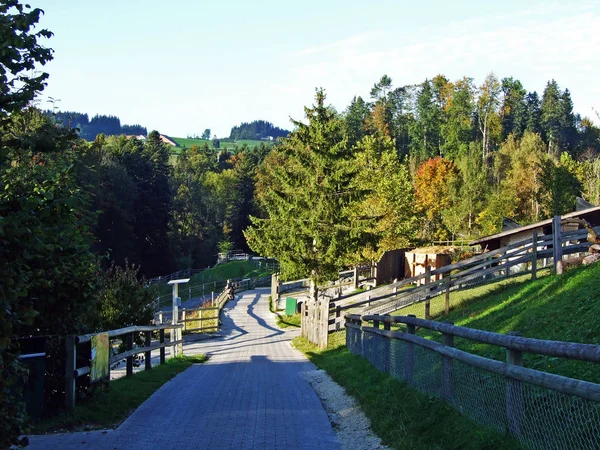 Park Landscape Abenteur Walter Zoo Garden Gossau Canton Gallen — Stock Photo, Image