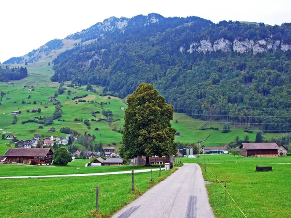 Tradycyjna Architektura Typowej Górskiej Wioski Regionie Obertoggenburg Stein Canton Gallen — Zdjęcie stockowe