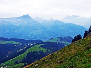Obertoggenburg bölgesindeki dağ tepesinde gulme veya gulmen 'den bir manzara, Stein-St. Gallen Kantonu, Isviçre