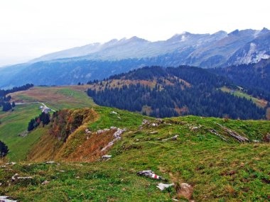 Obertoggenburg bölgesindeki dağ tepesinde gulme veya gulmen 'den bir manzara, Stein-St. Gallen Kantonu, Isviçre