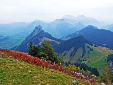 Obertoggenburg bölgesindeki dağ tepesinde gulme veya gulmen 'den bir manzara, Stein-St. Gallen Kantonu, Isviçre