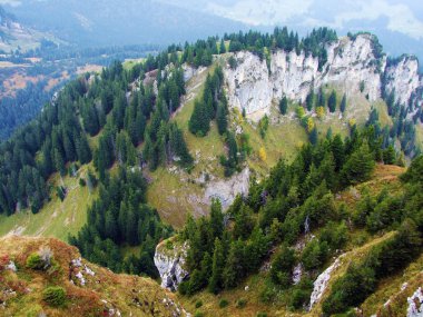Obertoggenburg bölgesindeki dağ tepesinde gulme veya gulmen 'den bir manzara, Stein-St. Gallen Kantonu, Isviçre
