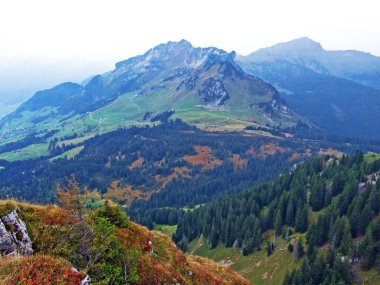 Obertoggenburg bölgesindeki dağ tepesinde gulme veya gulmen 'den bir manzara, Stein-St. Gallen Kantonu, Isviçre